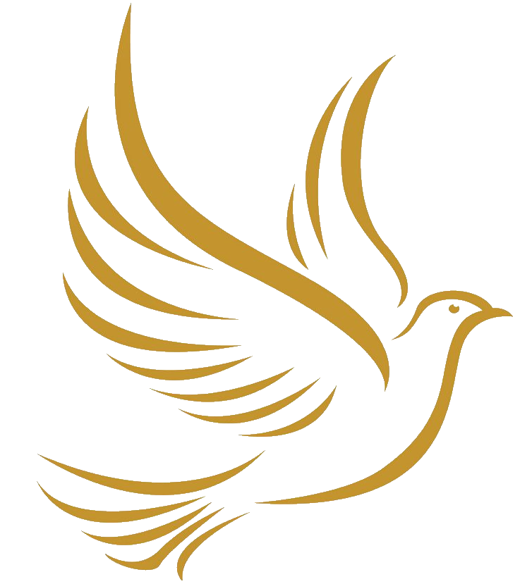 Spirit Led Ministries